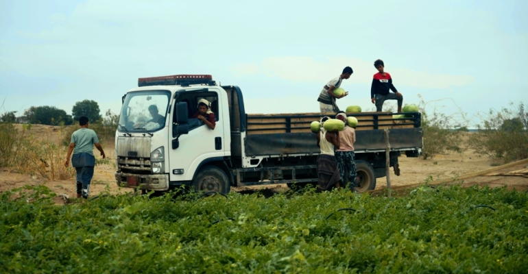 مؤسسة توكل كرمان تعيد الحياة لمزرعة مهجورة في لحج